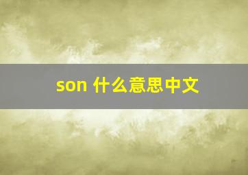 son 什么意思中文